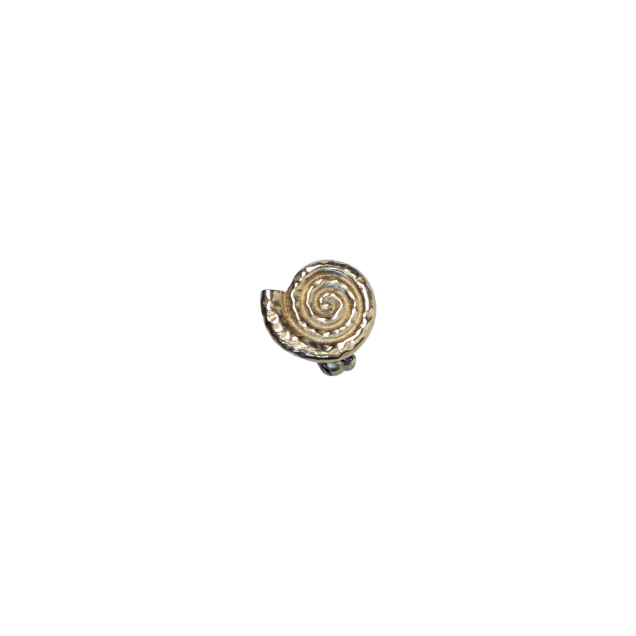 Brooch pin gold shell