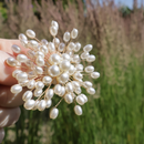 Parel broche in hand