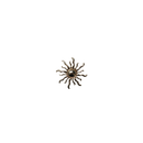 10042_magnet_brooch_gold_sun