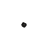 10043magnetbroochflowergoldblack