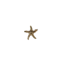 achterkant broche zeester