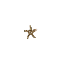achterkant broche zeester