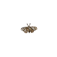broche achterzijde vlinder