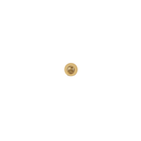 gold roun pin back 